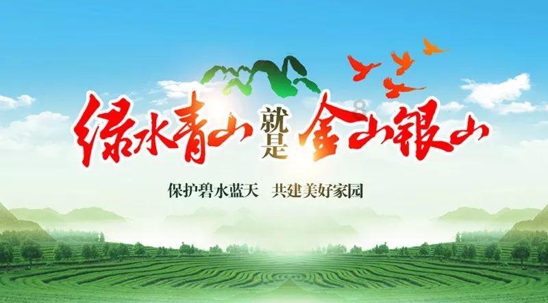 董明珠称不关心股价后格力电器涨超4% 白电企业今年如何增长？